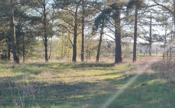 Stawno k/Kamienia Pomorskiego
