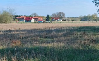 Działka w Stawnie