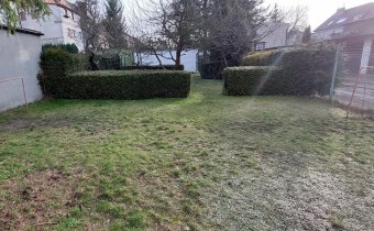 ogród