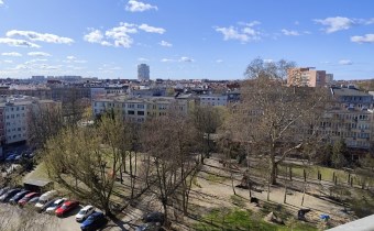 widok