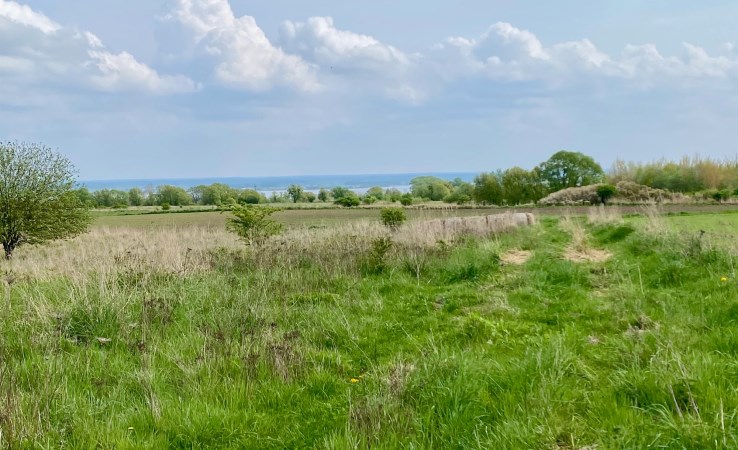 parcel for sale - Szczecin