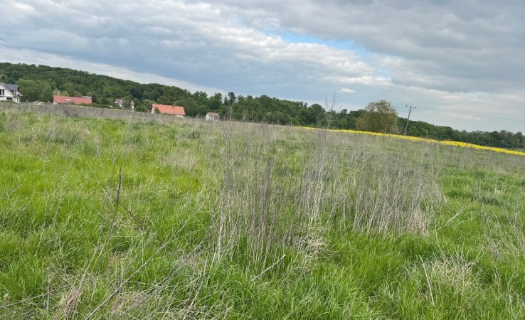 działka na sprzedaż - Trzebnica, Skarszyn