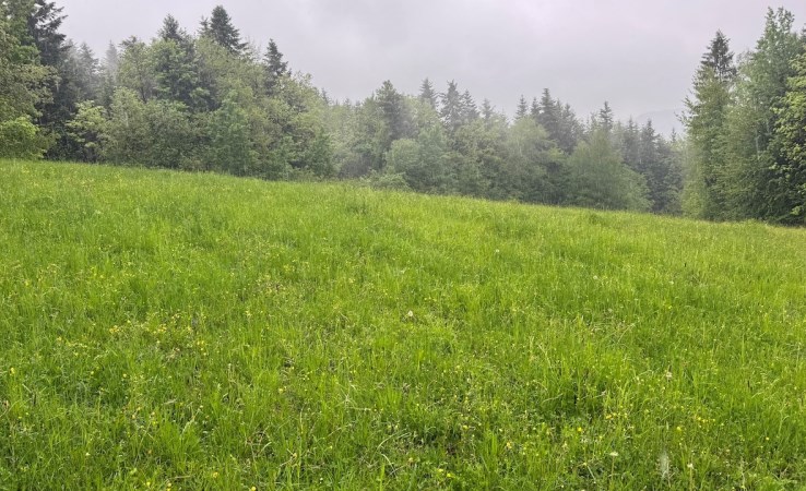 działka na sprzedaż - Grybów, Krużlowa Wyżna